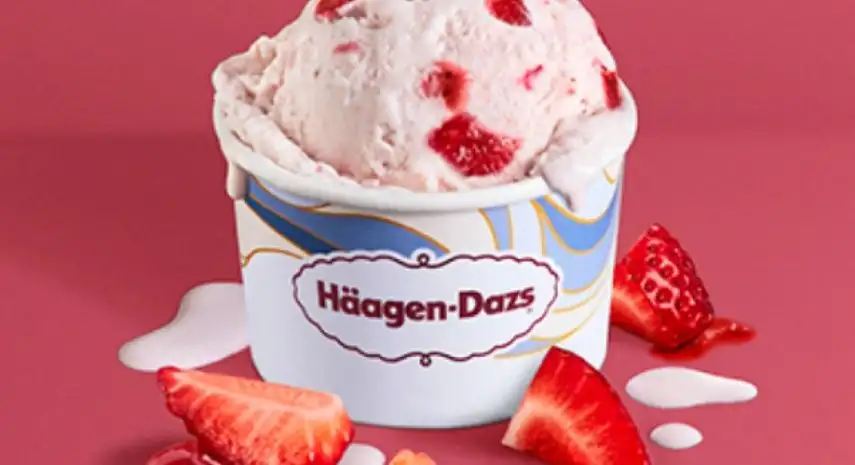 Haagen-Dazs Franchise Opportunity image 2