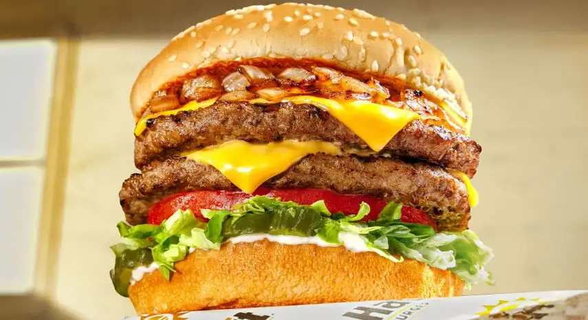 Habit Burger & Grill USA Franchise Opportunity