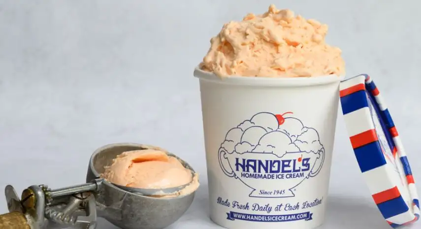 Handel's Homemade Ice Cream Franchise Opportunity – USA