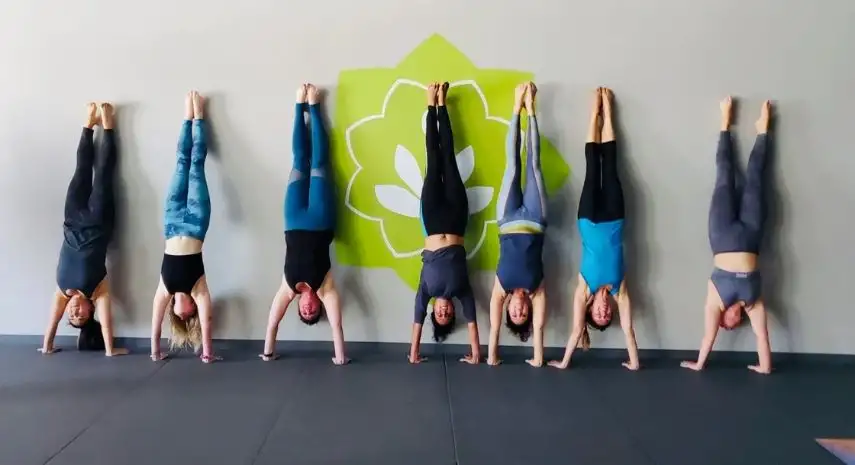 Hapa Yoga & Fitness Franchise Opportunities