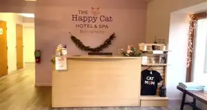 Happy Cat Hotel & Spa