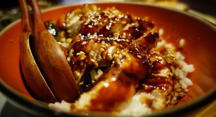 Happy Teriyaki Franchise Opportunity