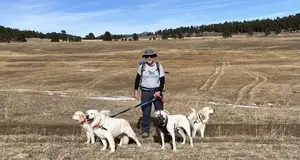 Hike Doggie Franchise Cost, Fees & Opportunity