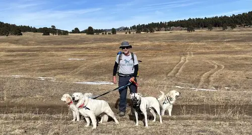 Hike Doggie Franchise Cost, Fees & Opportunity