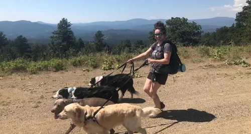 Hike Doggie Franchise Cost, Fees & Opportunity