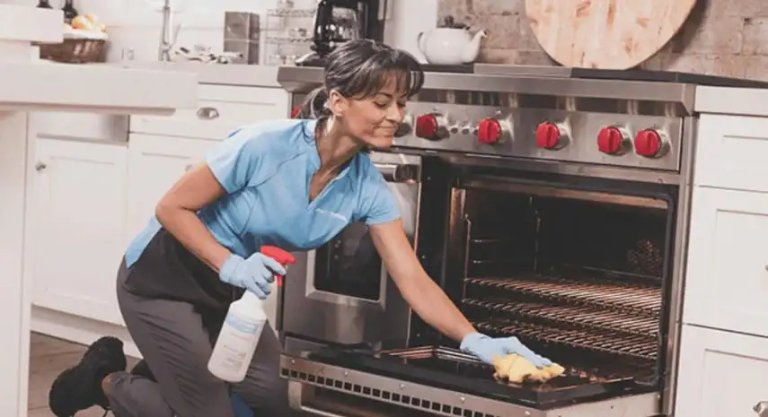 Home Clean Heroes USA Franchise For Sale