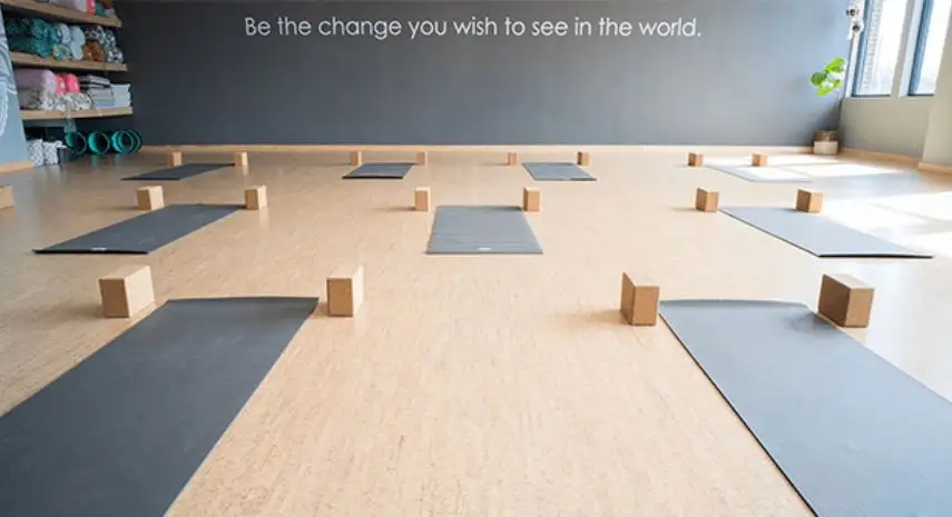 Honor Yoga Franchise Opportunities image 2