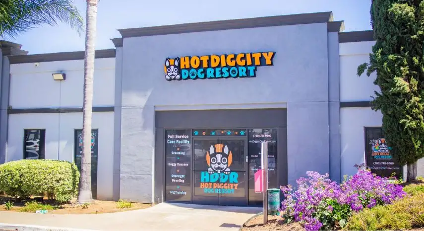 Hot Diggity Dog Resort