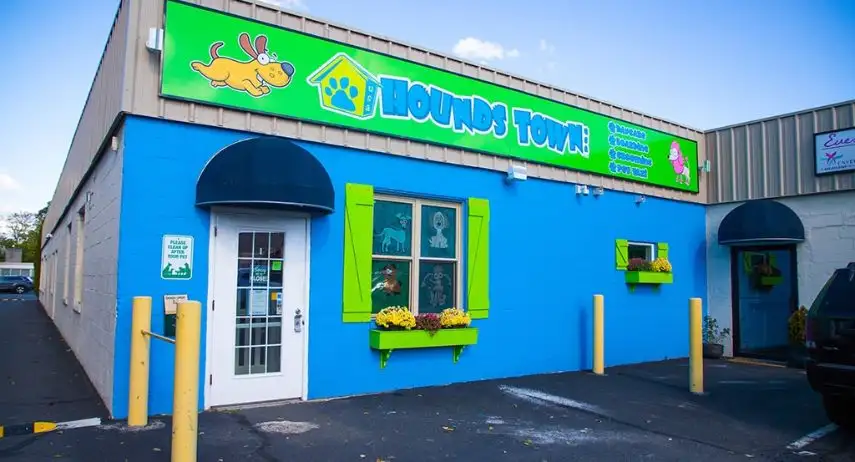 Hounds Town USA Franchise Opportunity image 4