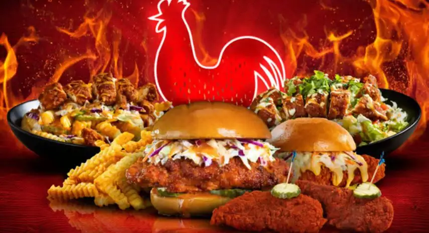 Houston TX Hot Chicken Franchise Opportunities