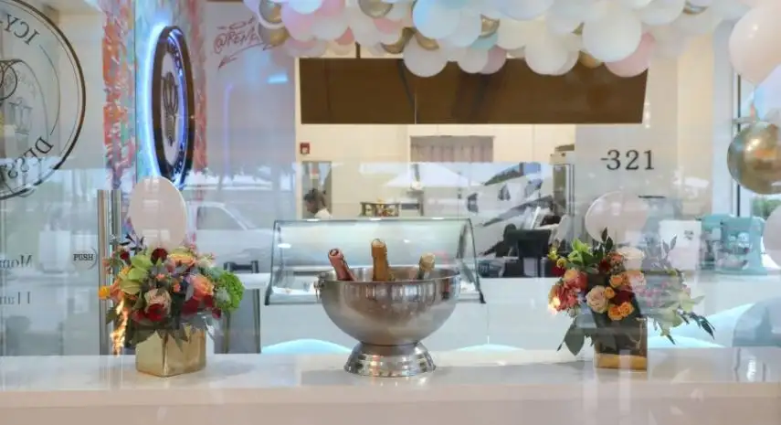 Icy-N-Spicy Indian Fast-Casual Franchise