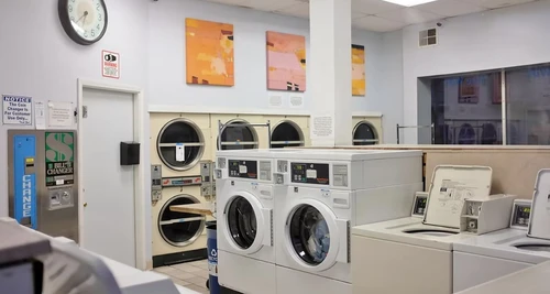 Indian Drycleaning Company Franchise For Sale