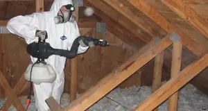 Insulation Commandos