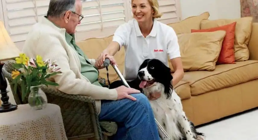 Interim HealthCare USA Franchise For Sale image 3