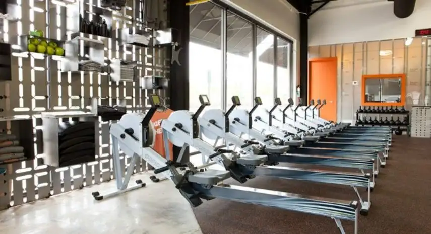 Iron Tribe Fitness franchise Opportunities