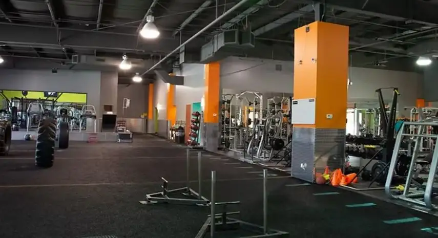 iThinkFit Franchise – Costs, Profit, Training & Opportunities image 2