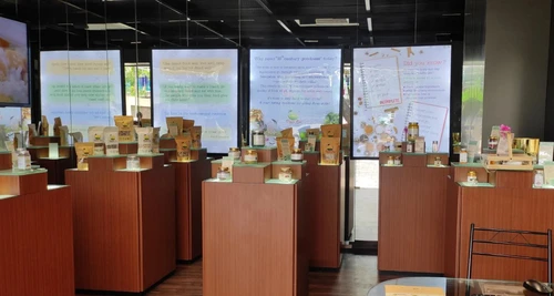 Jain Roots Franchise Cost, Fees, Opportunity