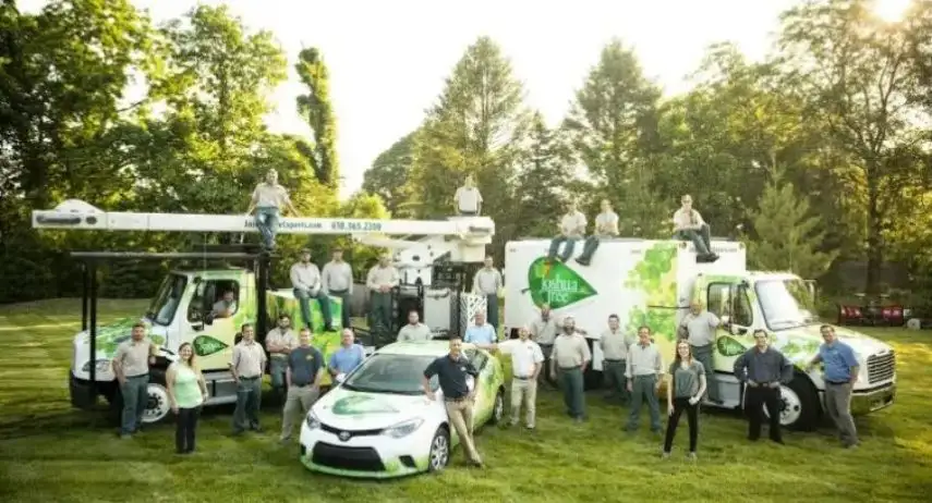 Joshua Tree Experts Franchise Opportunity