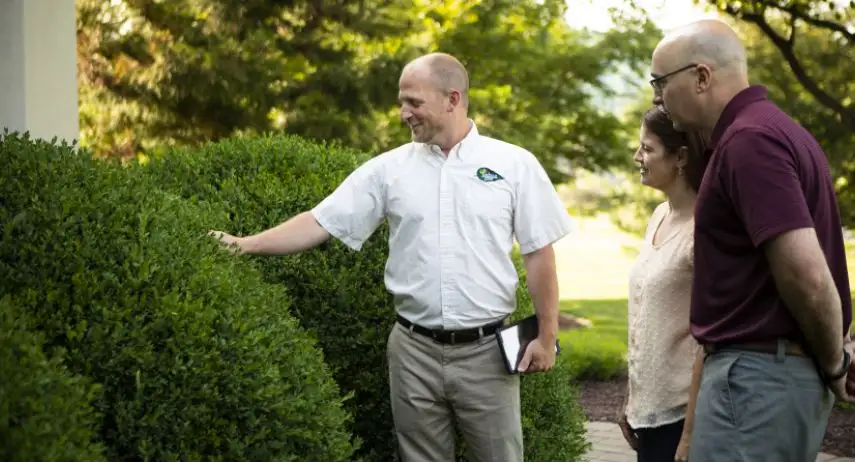 Joshua Tree Experts Franchise Opportunity image 2