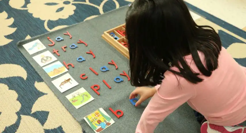 Joyous Montessori Franchise For Sale image 3