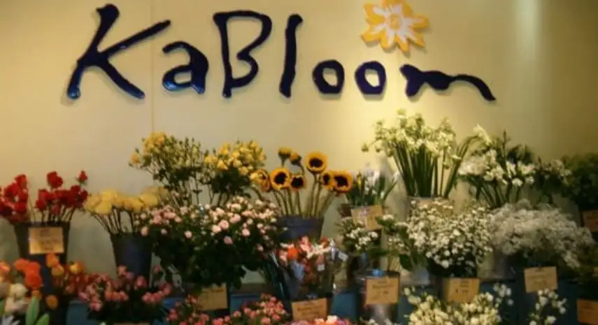 KABLOOM  - Floral Retail Business