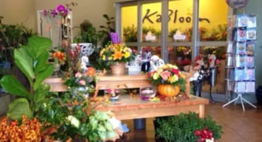 KABLOOM  - Floral Retail Business