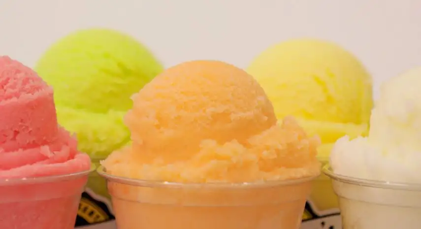 Karie Anne’s Frozen Desserts Franchise For Sale