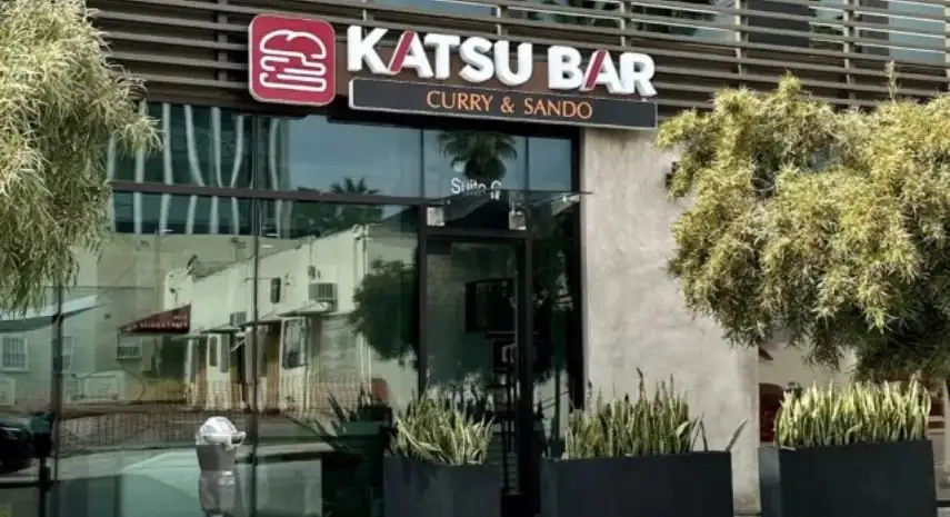 Katsu Bar Franchise – Cost, Profit & Opportunities