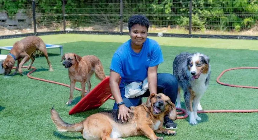 Kennelwood Pet Resorts Franchise Opportunity