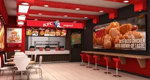 KFC USA Franchise for Sale | fried chicken