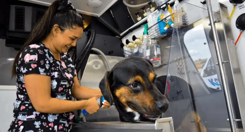 Kontota Grooming Franchise Opportunity