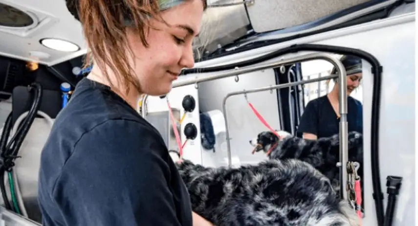 Kontota Grooming Franchise Opportunity image 2