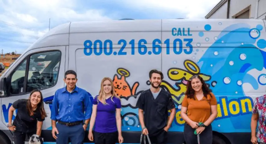 Kontota Grooming Franchise Opportunity