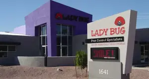 Lady Bug Eco-Friendly Pest Control