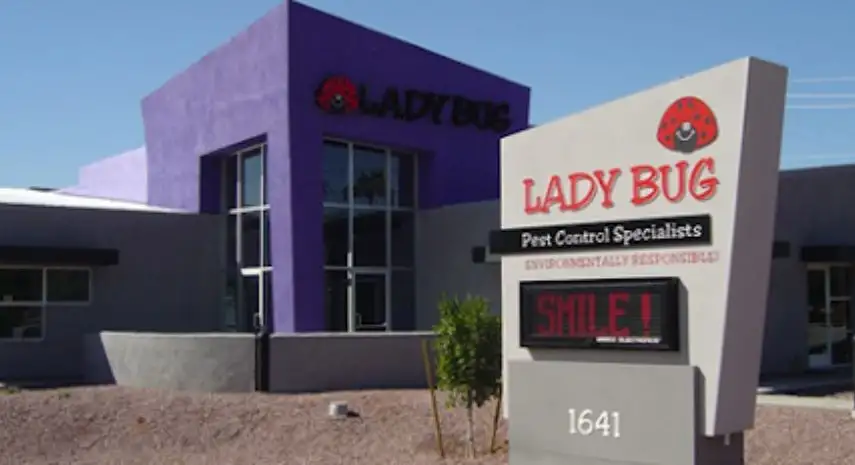 Lady Bug Eco-Friendly Pest Control