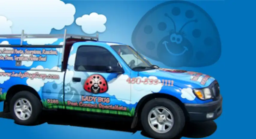 Lady Bug Eco-Friendly Pest Control