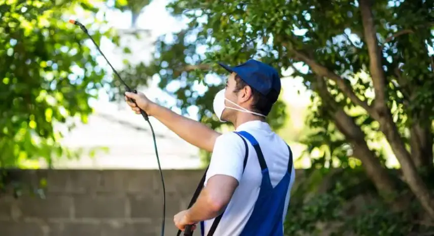 Lady Bug Eco-Friendly Pest Control