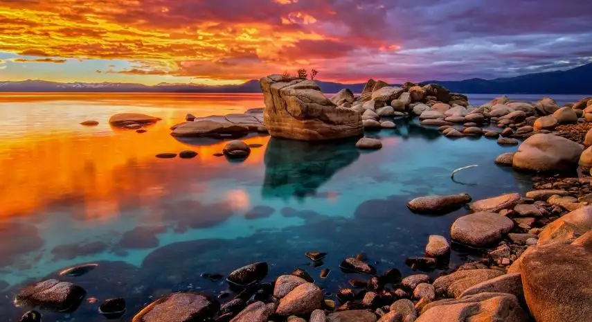 Lakefront Living International, LLC