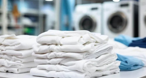 Launspace Franchise Cost, Fees, Opportunities