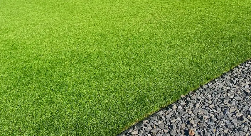 Lawn Creations  - Landscaping