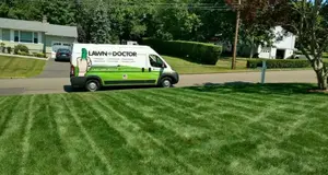 Lawn Doctor