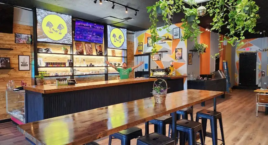 Lazydaze Coffeeshop & CBD/Cannabis