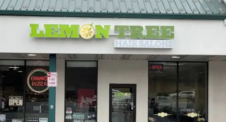 Lemon Tree Hair Salons Franchise Opportunity