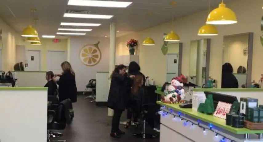 Lemon Tree Hair Salons Franchise Opportunity image 2