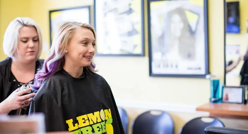 Lemon Tree Hair Salons