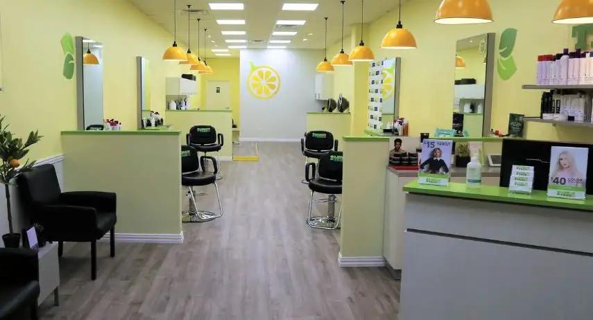 Lemon Tree Hair Salons Franchise Opportunity
