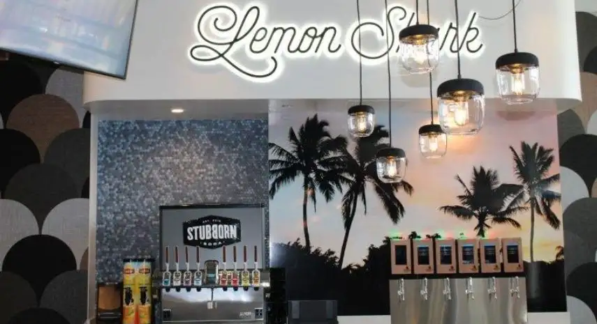 LemonShark Poke Franchise Opportunities - Fast-Casual Poke