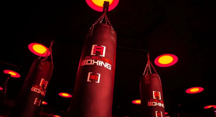 Level Red Boxing Franchise Opportunities