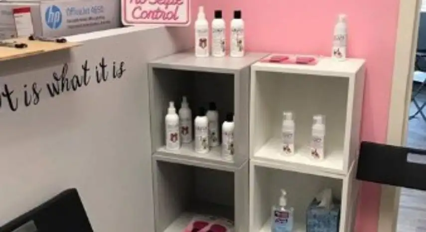 Lice Ladies Franchise Cost & Fees Opportunity