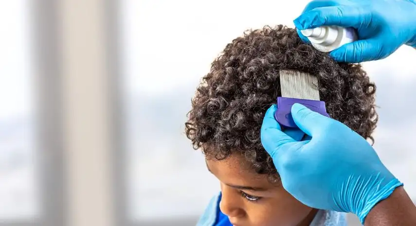 Lice Lifters  - Head Lice Removal